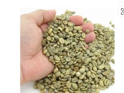 mahendraputrabijikopi2