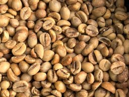 mahendraputrabijikopi5
