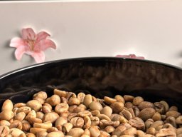 mahendraputrabijikopi7